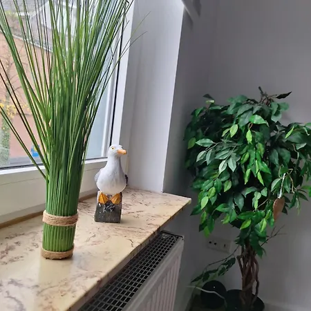 Brigg Apartment